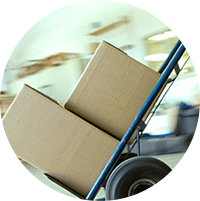 Procurement & Logistics